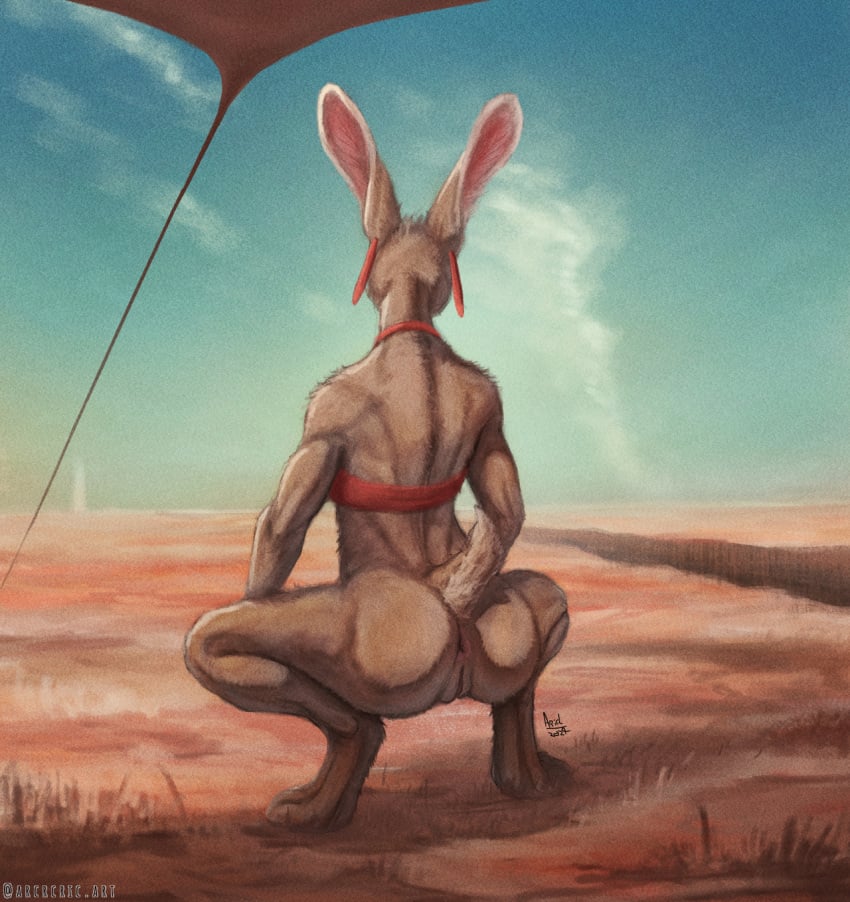 2024 anthro anus arcr-cric bra clothing crouching digital_media_(artwork) digitigrade ear_piercing ear_ring female genitals hare hi_res horizon lagomorph leporid long_ears looking_away mammal outside piercing presenting pussy rear_view red_clothing ring_piercing scut_tail short_tail solo suggestive_pose tail underwear