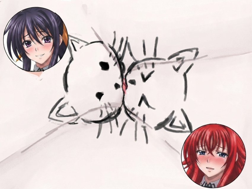 Akeno Himejima Rule 34 Image