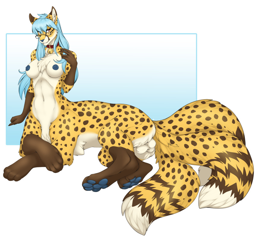 1futa absurd_res accelo animal_genitalia anthro balls bell blue_eyes blue_hair blue_nipples blue_nose blue_pawpads breasts canid canine cheetah collar eyebrows eyewear felid feline fox fully_sheathed furry futanari glasses gynomorph hair heterochromia hi_res hybrid intersex long_hair mammal multi_tail neko_ed nipples pawpads red_eyes sheath solo_futa taur trans_woman transfem tuft