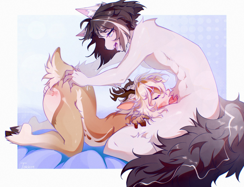 absurd_res anthro aroused ass deer domestic_cat dominant duo felid feline felis fellatio fingering genitals hi_res horn male male/male mammal nude oral penile penis puff puffy scarly(tokkot) sex stretching sucking swallowing tokkot