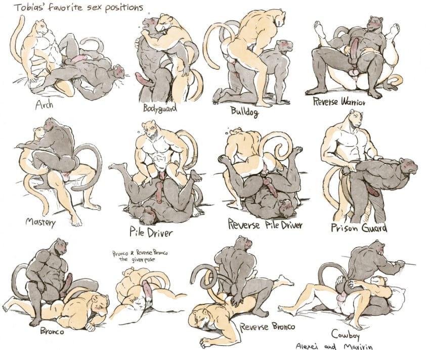 anal anal_sex anthro arch_position arm_grab balls bodyguard_position cowgirl_position felid from_behind_position leopard male male/male mammal maririn mastery_position muscular muscular_male on_top pantherine pecs penetration penis piledriver_position prison_guard_position reverse_piledriver_position sex sex_positions standing standing_sex tobias_(maririn) tobias_fretchman tyson_(maririn) tyson_clawing