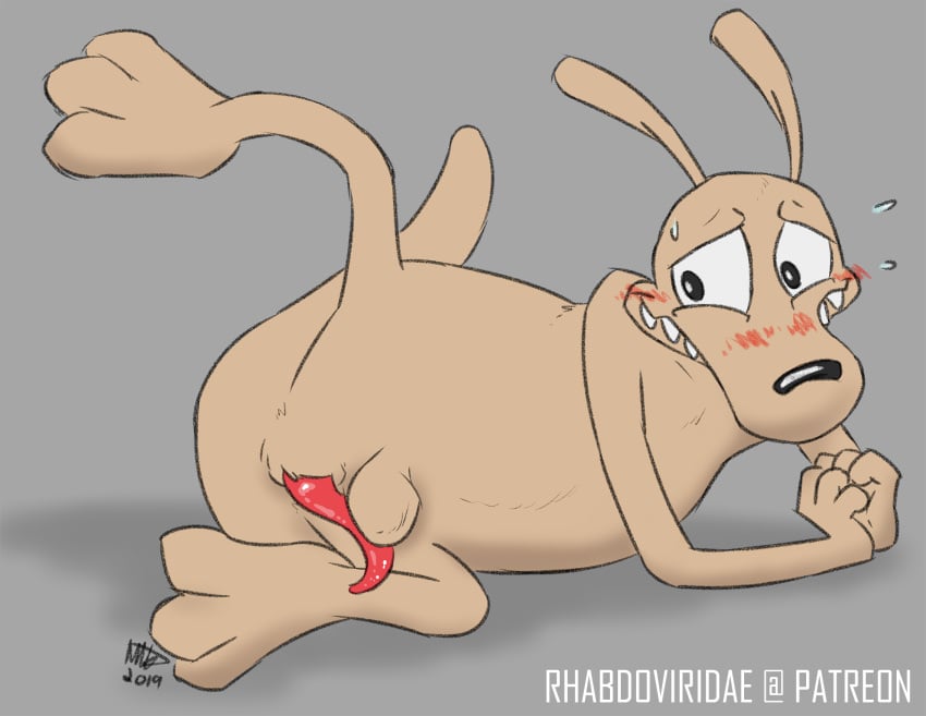 anatomically_correct balls balls_above_penis blush conditional_dnp digital_media_(artwork) furry hi_res macropod male male_only mammal marsupial nickelodeon nude penis rocko's_modern_life rocko_rama solo solo_male wallaby wolftacos