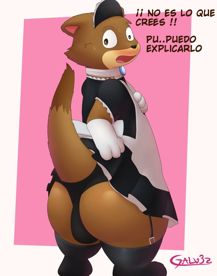 2022 absurd_res anthro ass black_clothing black_panties black_underwear blush border brown_body brown_fur bulge clothed clothing crossdressing embarrassed fur furgonomic_underwear furgonomics galv3z_(artist) garter_straps gloves handwear hi_res joules_(galv3z) legwear maid_headdress maid_uniform male male_anthro mammal mustelid musteline outside_border panties raised_tail signature spanish_text tail text thigh_highs true_musteline underwear uniform weasel