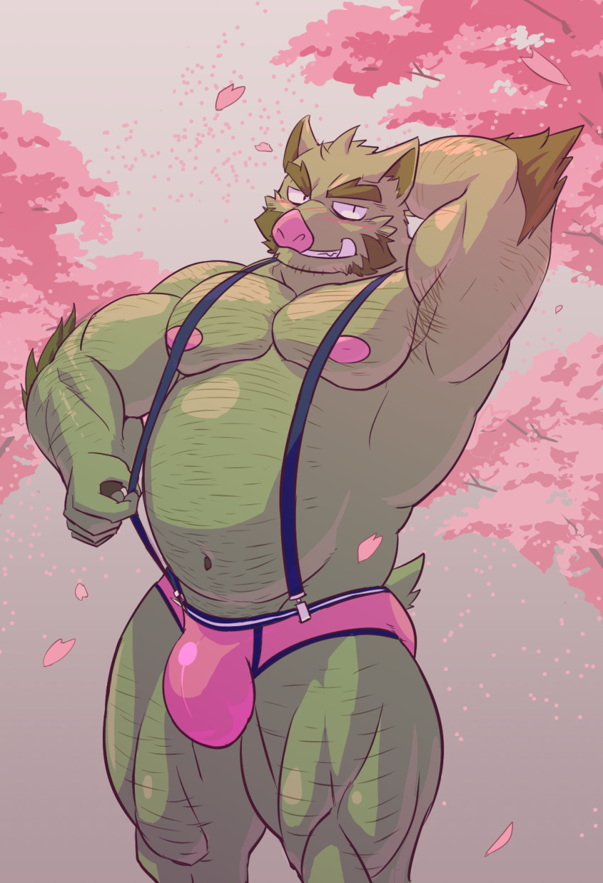 armpit_hair briefs brute_(artist) bulge cherry_blossom clothing eyebrows hairy hand_behind_head hi_res male male_only mammal musclegut muscular muscular_male nipples overalls pink_clothing pink_nipples pink_nose pink_underwear plant suid suina sus_(pig) thick_eyebrows thick_thighs tsukigata_rossi underwear wild_boar