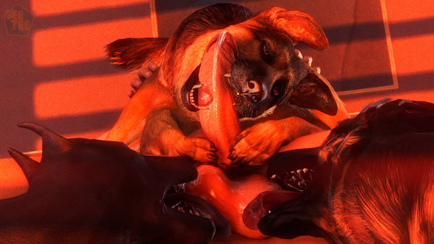 16:9 3d anatomically_correct ball_lick balls canid canine canis collaborative_fellatio domestic_dog erection fellatio fellatio_from_feral female feral geetee german_shepherd group group_sex hi_res human human_on_feral humanoid interspecies licking male male_on_feral mammal oral orgy paws penile penis sex source_filmmaker teamwork teeth tongue tongue_out zoophilia