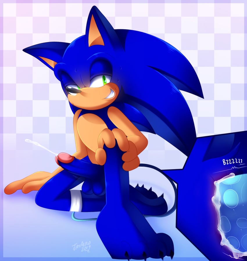 anal anal_masturbation anthro balls bodily_fluids cum eulipotyphlan furry genital_fluids hedgehog hi_res humanoid_penis jayaero male male_only mammal masturbation penis sex_toy solo sonic_(series) sonic_the_hedgehog