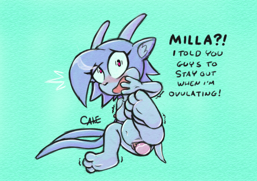 Sash Lilac (Freedom Planet) Rule 34 Image