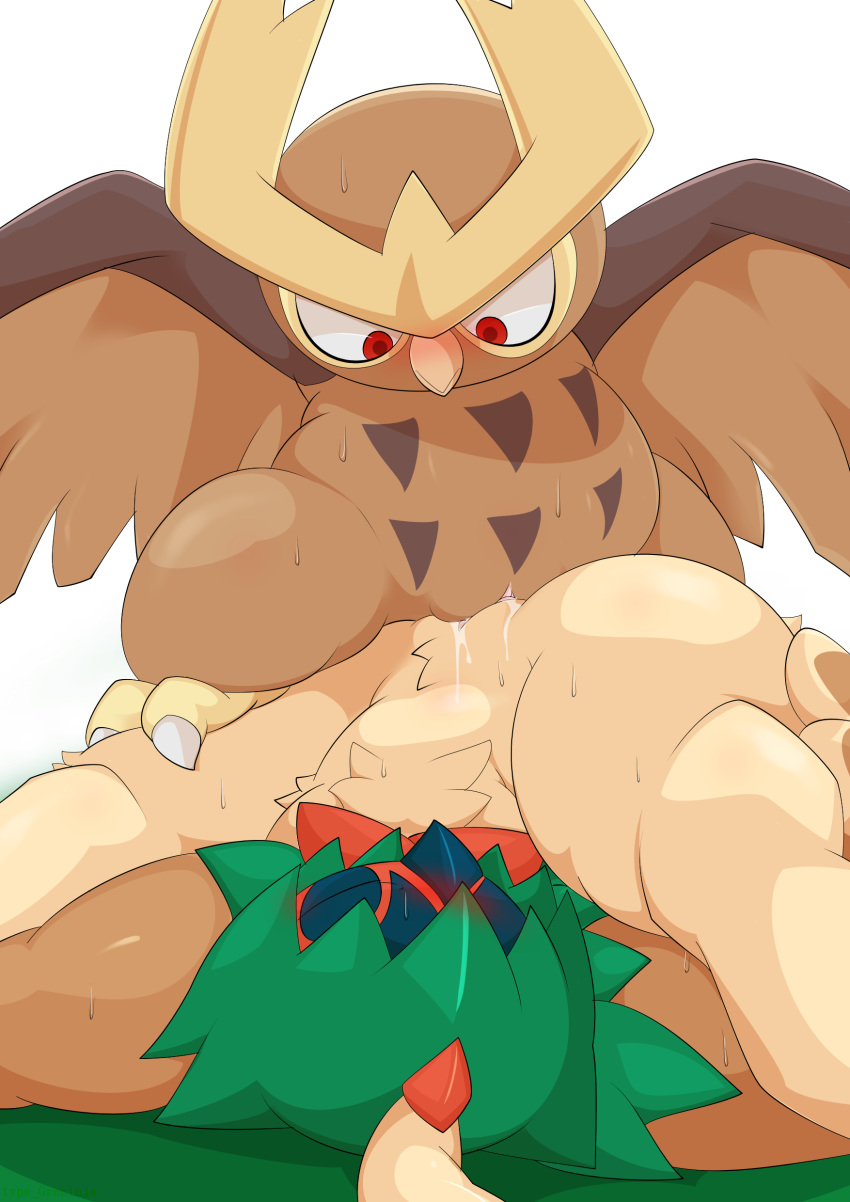 2019 absurd_res avian beak bird decidueye duo female female/female female_decidueye feral feral_on_feral hi_res nintendo noctowl pokémon_(species) pokemon pokemon_gsc pokemon_sm pussy sex simple_background tribadism type vaginal_penetration video_games wings yuri