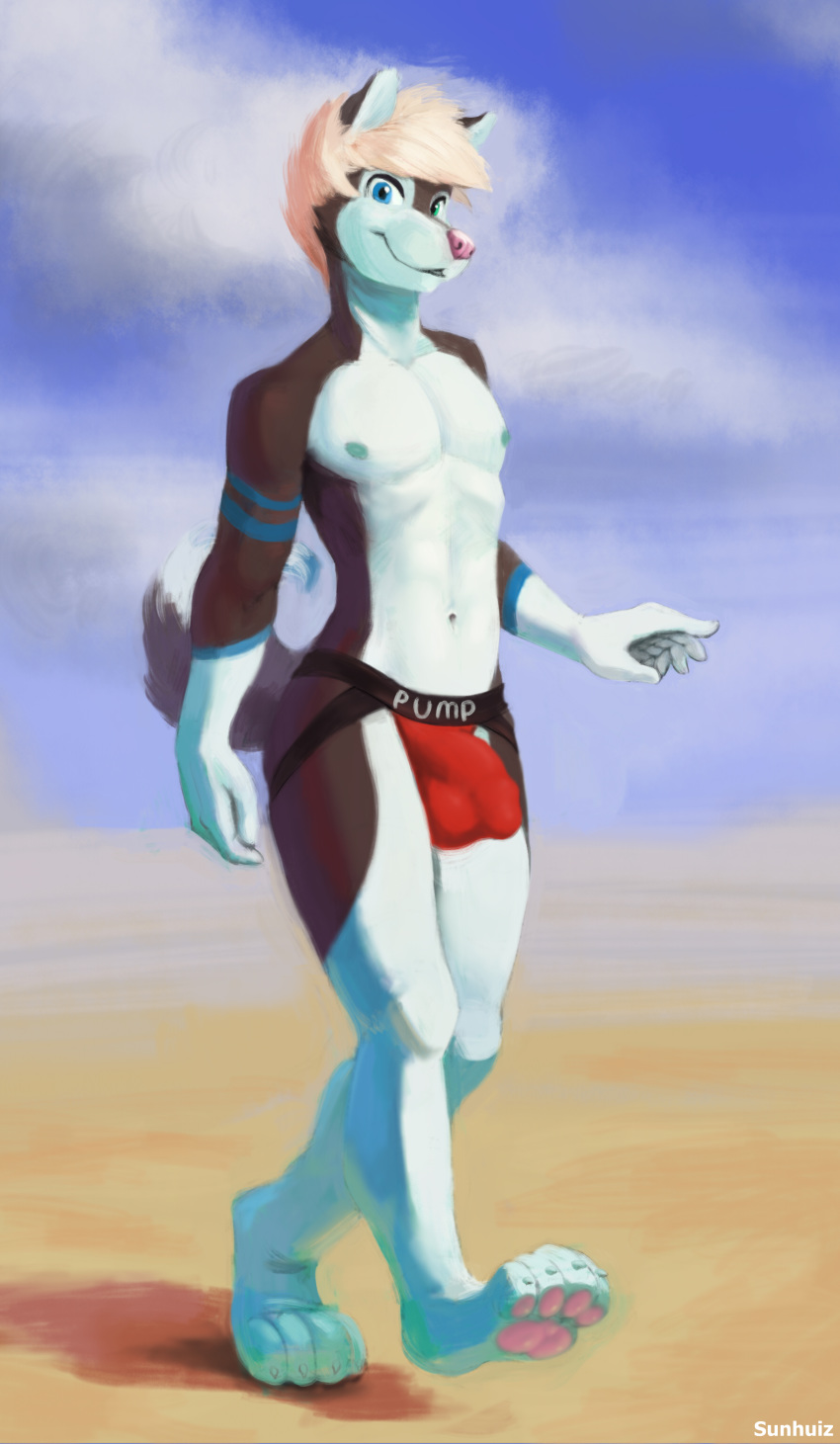 5_fingers absurd_res anthro avery black_fur bulge canid canine canis clothing cloud dipstick_tail fingers fur hair heterochromia hi_res looking_at_viewer male male_only mammal multicolored_tail nipples outside sky solo sunhuiz underwear white_fur wolf