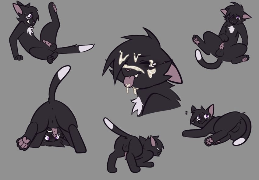 Ravenpaw (Warriors) Rule 34 Image
