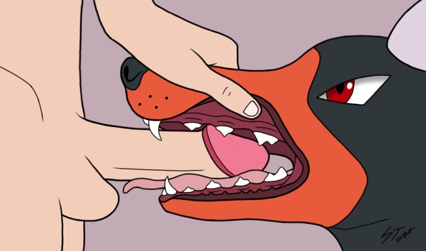 1boy 2019 ambiguous_gender animated bestiality black_fur brown_fur canine close-up fellatio feral furry half-closed_eyes hand_on_head horns houndoom human interspecies itsastoneluigi larger_male male mammal nintendo oral penis penis_on_tongue pokémon_(species) poképhilia pokemon pokemon_gsc red_eyes side_view size_difference teeth testicles text tongue tongue_out_blowjob video_games watermark zoophilia