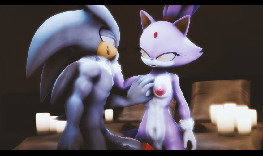 2019 3d absurd_res anthro anthro_on_anthro blaze_the_cat blush breasts domestic_cat duo erection eulipotyphlan felid feline felis female furry hedgehog hi_res male mammal nipples penis silver_the_hedgehog sonic_(series) sonicfoxhound straight teasing vein veiny_penis