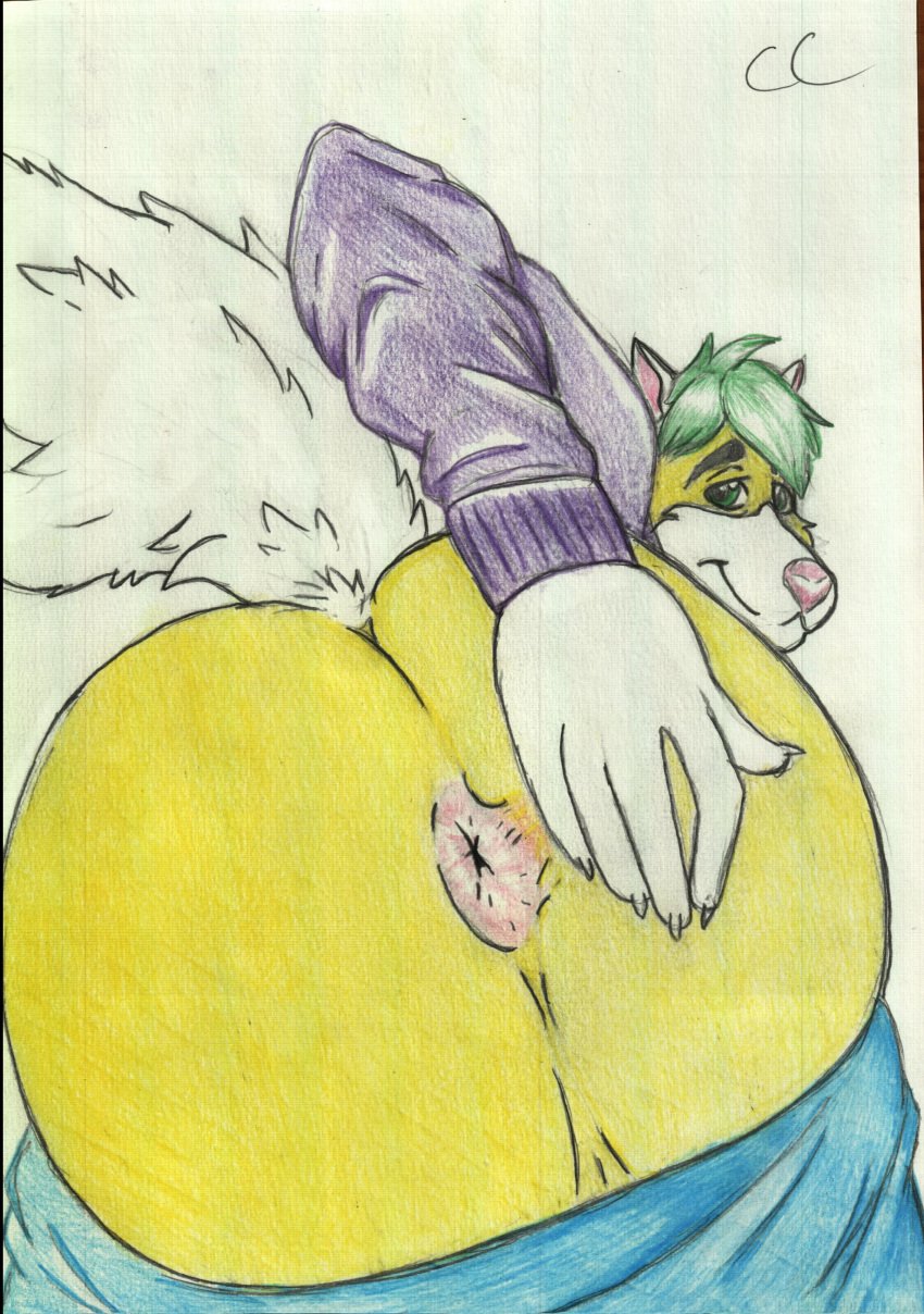 absurd_res anus ass big_butt bottomwear canid canine canis clothing crazy_company fluffy fluffy_tail fur green_hair hair hi_res huge_butt hyper hyper_butt looking_at_viewer male_only mammal pants simple_background smile solo spreading sweater topwear wolf yellow_fur