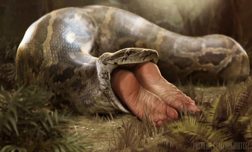 1girls avatar_legends barefoot dark-skinned_female dark_skin feet female foot_fetish foot_focus highres imminent_death korra ninjartist realistic snake snake_vore soles the_avatar the_legend_of_korra vore water_tribe wrinkled_feet wrinkled_soles wrinkly_soles