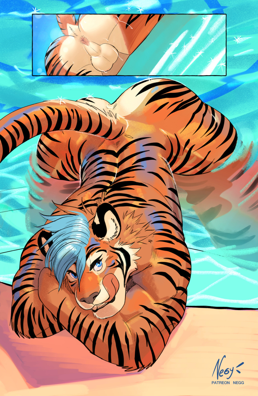 anthro balls blue_eyes blue_hair felid fur genitals hair hi_res male mammal negger nude orange_body orange_fur pantherine penis solo striped_body striped_fur stripes tail tiger tongue tongue_out wet