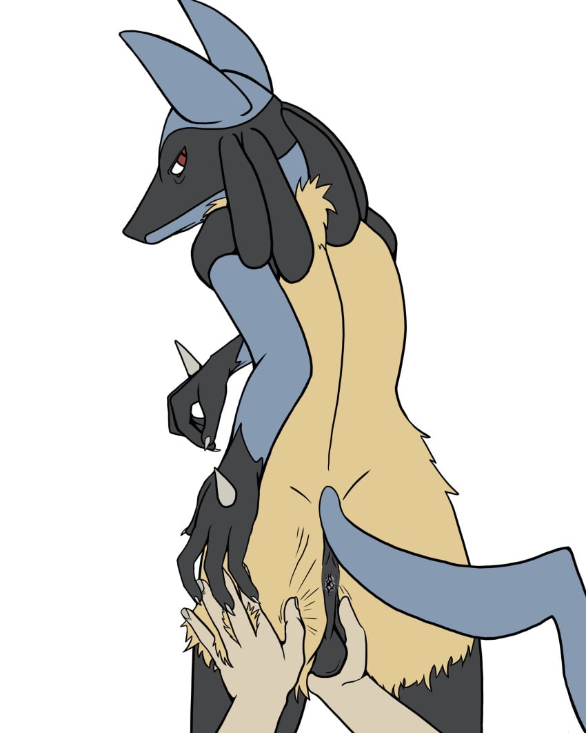 1boy 2019 4_fingers absurd_res ambiguous_gender anus ass back big_ears black_fur blue_fur canine caressing_testicles claws deriviera disembodied_hand eye_contact fur furry half-closed_eyes hand_on_ass hi_res looking_at_viewer looking_back lucario male male_only nintendo nude original_character pokemon pokemon_(species) pokemon_dppt pov red_eyes simple_background solo_focus spikes standing tail testicles thigh_gap video_games yellow_fur