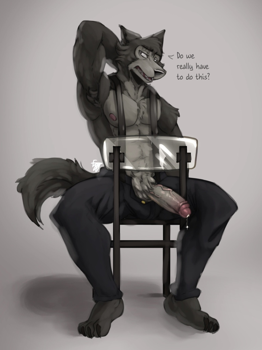 anthro beastars bodily_fluids canid canine canis chair eggubboyo_(artist) erection furniture genital_fluids highres humanoid_penis legoshi_(beastars) male male_only mammal muscular nude penis precum solo suspenders uncut wolf