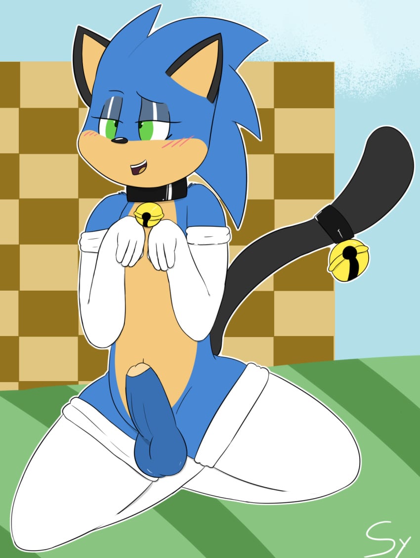 balls bell blush cat_ears_(disambiguation) clothed clothing collar crossdressing gloves handwear hi_res legwear male male_only penis sketchyyvun sonic_(series) sonic_the_hedgehog stockings uncut