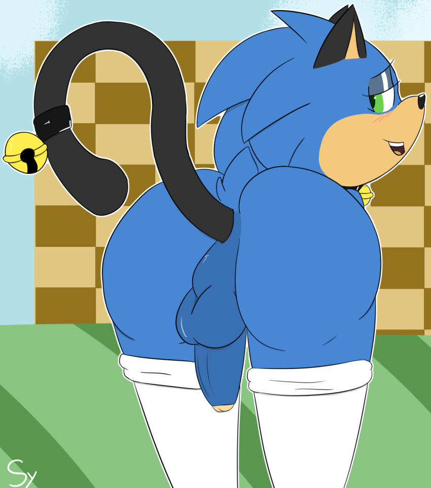 anus balls bell blush buttplug cat_ears_(disambiguation) clothed clothing collar crossdressing from_behind_(disambiguation) gloves handwear hi_res humanoid_penis legwear male male_only penis sex_toy sketchyyvun sonic_(series) sonic_the_hedgehog stockings