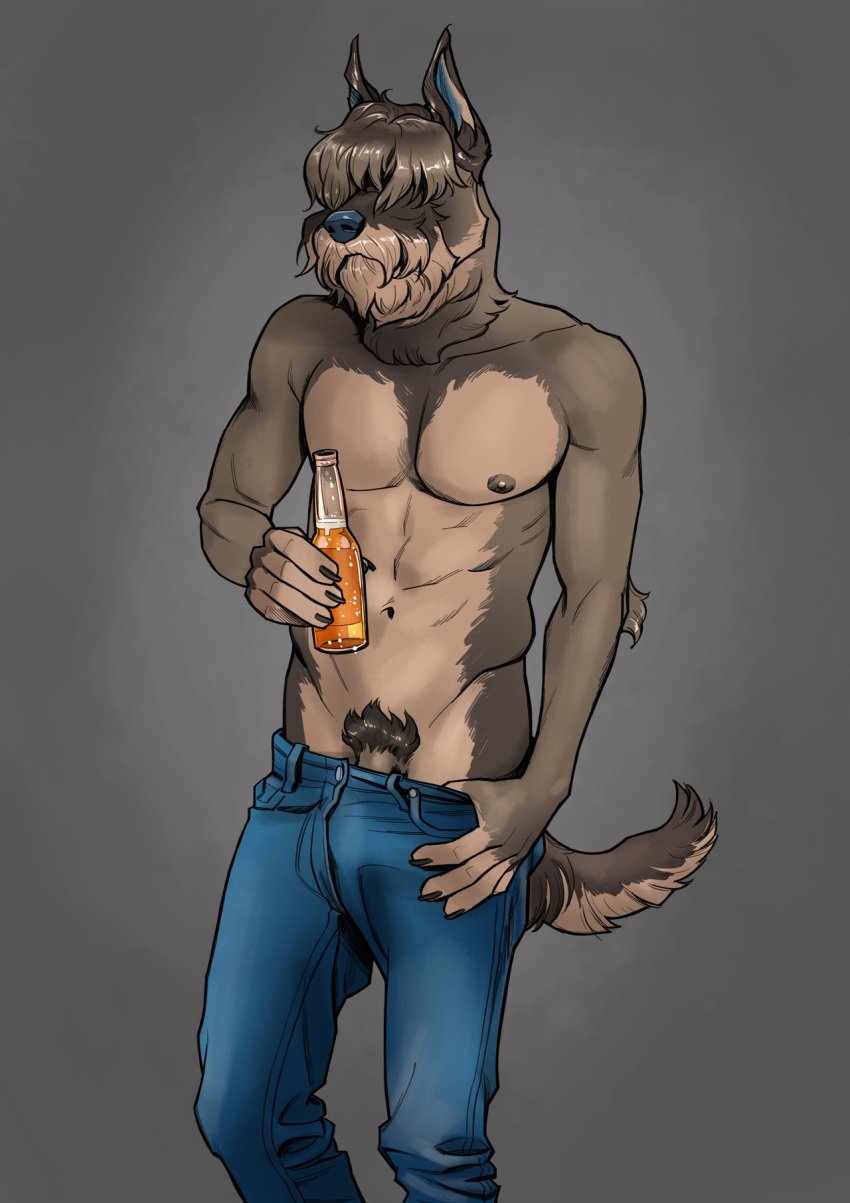 2019 5_fingers abs alcohol anthro areola beer beverage billmund biped black_claws blue_bottomwear blue_clothing blue_nose blue_pants bottle bottomwear brown_areola brown_body brown_fur brown_nipples brown_tail bulge canid canine canis claws clothing collarbone countershade_face countershade_tail countershade_torso countershading domestic_dog fingerless_(marking) fingers flaccid fluffy front_view frown fur grey_background grey_theme hair_over_eyes half-length_portrait hi_res holding_bottle holding_object jeans light lighting male male_only mammal muscular muscular_male navel nipples pants pants_pull pecs penis penis_base pockets portrait presenting presenting_penis prick_ears pubes schnauzer shadow simple_background solo standing tan_body tan_countershading tan_fur tan_penis tan_tail