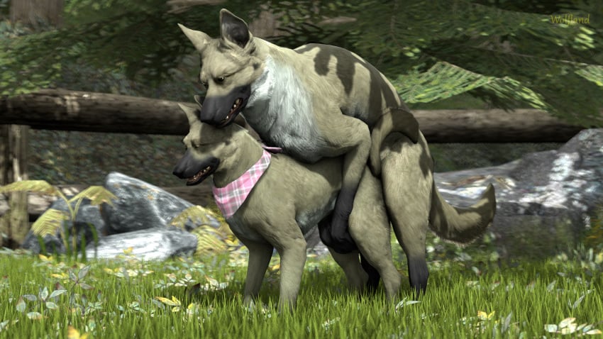 16:9 2019 3d all_fours canid canine canis doggy_style domestic_dog duo female feral feral_on_feral feral_penetrated feral_penetrating forest from_behind_position fur hi_res male male_penetrating mammal mounting open_mouth penetration sex source_filmmaker straight tree vaginal_penetration wolfland