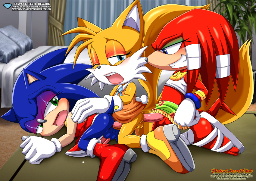 3boys anal bbmbbf crossdressing daisy_chain diamond_level gay knuckles_the_echidna male male_only miles_tails_prower mobius_unleashed palcomix pietros_secret_club sega sonic_(series) sonic_the_hedgehog tagme team_sonic yaoi