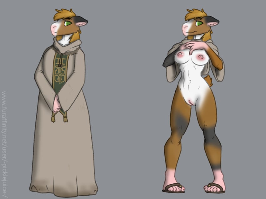 4:3 blonde_hair caviid female flashing fur furry green_eyes guinea_pig hair hi_res mammal morra_lazuli_(character) multicolored_body multicolored_fur nude nun pickle_juice rodent