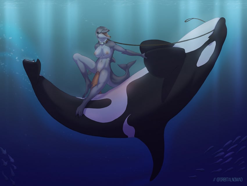 2019 air_bubbles ambient_fish ambient_sealife animal_genitalia anthro anthro_on_feral anthro_penetrated beady_eyes big_breasts big_dom_small_sub black_eyes breasts cetacean clitoris clitoris_piercing collar delphinoid domination dorsal_fin duo_focus elbow_fin erection female female_on_top female_penetrated feral feral_domination feral_penetrating feral_penetrating_anthro fin fin_grab fish flukes genital_piercing genital_slit genitals group larger_male leash leash_in_mouth leash_pull light male male_domination male_on_bottom male_penetrating male_penetrating_female mammal marine membrane_(anatomy) nipple_piercing nipple_ring nipples nude object_in_mouth oceanic_dolphin on_bottom on_top open_mouth orca penetration penis piercing plantigrade pussy sex side_saddle_position size_difference slit smaller_female snout straight submissive submissive_female tapering_penis toothed_whale underwater underwater_sex vagabond_(artist) vaginal_penetration water webbed_feet webbed_hands zoophilia