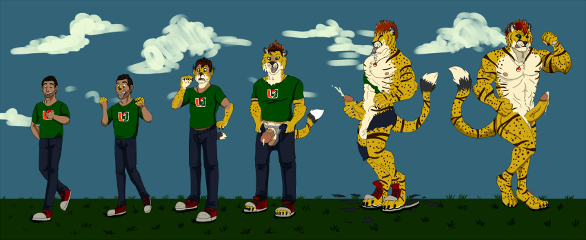 anthro black_hair cloud clouds cum cumming feline feline_penis furry furry_ears furry_tail grass green_eyes green_shirt human human_to_anthro jaguar justinfox male male_only muscle muscle_growth muscles muscular_male red_shoes sequence sky transformation