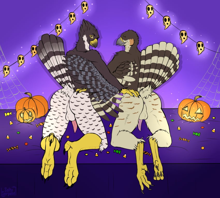 absurd_res accipiter accipitrid accipitriform animal_humanoid anthro anus ass avian avian_humanoid balls beak big_butt bird brown_body brown_feathers digital_media_(artwork) duo eurasian_sparrowhawk falcon falcon_humanoid falconid falconid_humanoid feathers halloween hi_res holidays humanoid kneeling looking_at_viewer looking_back male nude orange_eyes penis presenting presenting_hindquarters saltyserpent smile spreading take_your_pick thick_thighs true_hawk