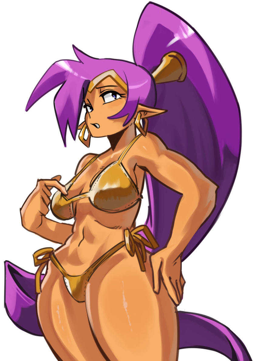 Shantae (Character) Rule 34 Image
