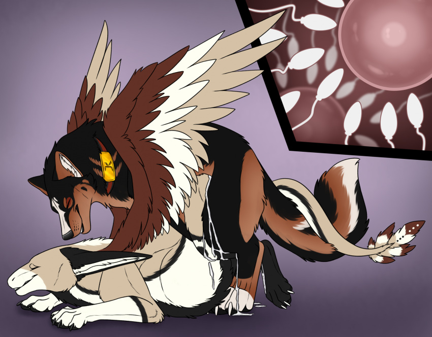 Ambiguous Gender Rule 34 Image