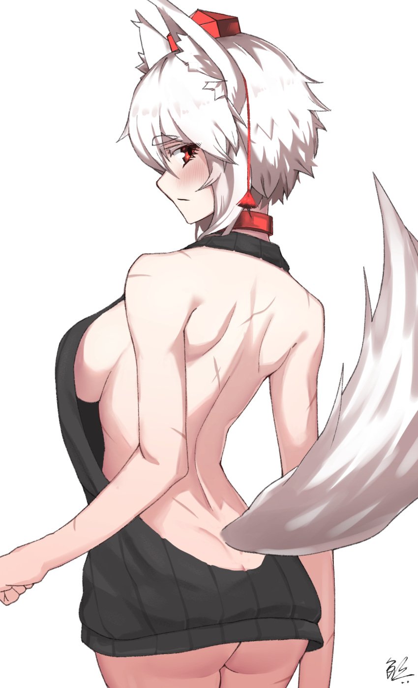 1641_(chfhrtor94) 1girls animal_ear_fluff animal_ears ass backless_outfit blush breasts closed_mouth collar commentary_request cowboy_shot expressionless female from_behind hair_between_eyes hat highres inubashiri_momiji large_breasts looking_at_viewer looking_back meme_attire momiji_inubashiri profile red_headwear scar short_hair sideboob simple_background solo tagme tail tokin_hat touhou virgin_killer_sweater white_background white_hair wolf_ears wolf_tail