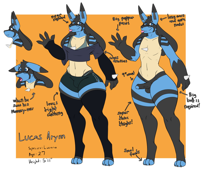 anthro furry game_freak jeffthehusky lucario lucas_arynn nintendo penis pokemon pokemon_(species) tagme unclelu wide_hips