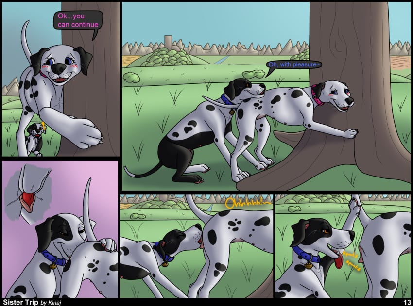 animal_genitalia animal_pussy bird_dog blush bodily_fluids breath canid canine canine_genitalia canine_pussy canis close-up collar comic comic_page cunnilingus dalmatian distance_(tag) domestic_dog duo english_text female female/female feral genital_fluids genitals grass hi_res hill hunting_dog incest_(lore) jess_(kinaj) kinaj labrador licking mammal mixed_breed moan mountain multi_nipple nipples oral page_13 page_number panting paws pictographics plant pussy retriever sex sibling_(lore) sister_(lore) sisters_(lore) tag tamara_(kinaj) text tongue tongue_out tree under_shade vaginal_fluids vaginal_penetration yuri