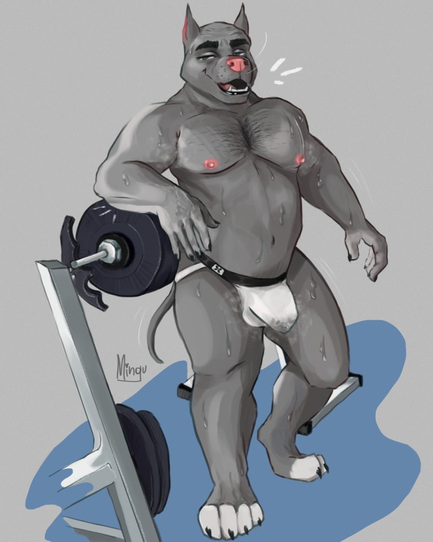 american_pit_bull_terrier anthro barbell belly big_muscles bodily_fluids body_hair canid canine canis chest_hair clawed_fingers claws clothed clothing cum domestic_dog genital_fluids gym_pals hairy hi_res hunting_dog jockstrap jockstrap_only leaking_cum leaking_precum looking_at_viewer male male_only mammal moobs musclegut muscular musk musk_clouds nipples pit_bull precum sheenie solo stocky sweat sweatdrop terrier toe_claws topless underwear underwear_only vain vains weights