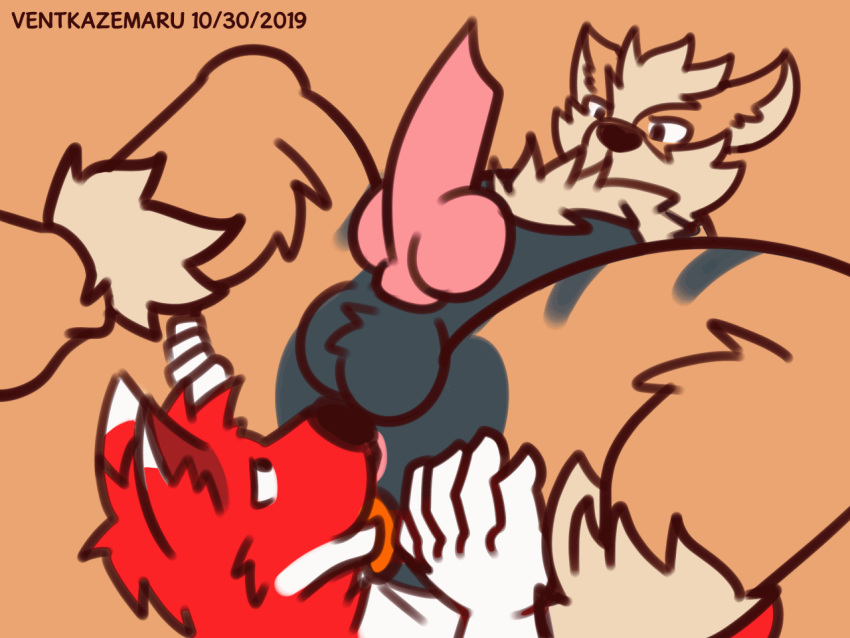 Arcanine (Nintendo) Rule 34 Image