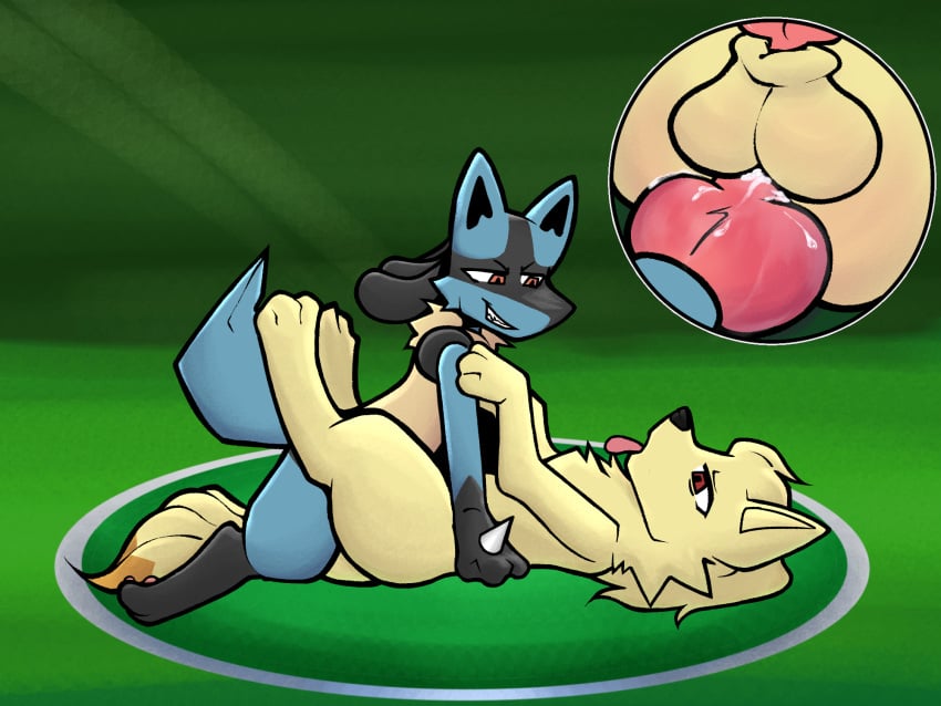 anal anthro anthro_on_feral blue_body blue_fur bodily_fluids cum cum_inside duo feral from_front_position fur game_freak gay genital_fluids genitals hi_res knot knotted_penis lucario lying male male/male missionary_position ninetales nintendo on_back penis pokémon_(species) pokemon pokemon_(species) red_eyes sex simple_background tail tongue tongue_out yasterwolly yellow_body yellow_fur zoophilia