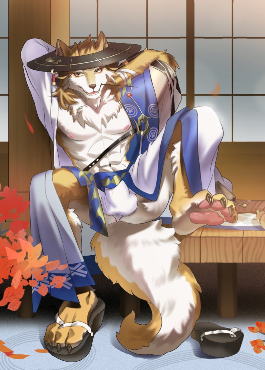 absurd_res anus asian_clothing asian_mythology bulge canid canine canis clothing domestic_dog east_asian_clothing east_asian_mythology feet hi_res inugami_(onmyoji) japanese japanese_clothing japanese_mythology jopika male mammal mythology paws shiba_inu solo spinugami_(onmyoji) spitz tail