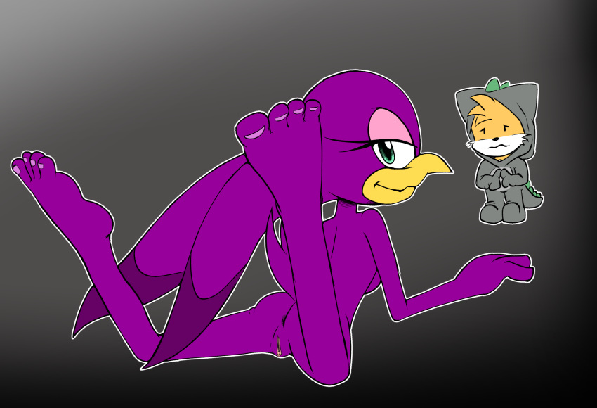 Sonic (Series) Rule 34 Image
