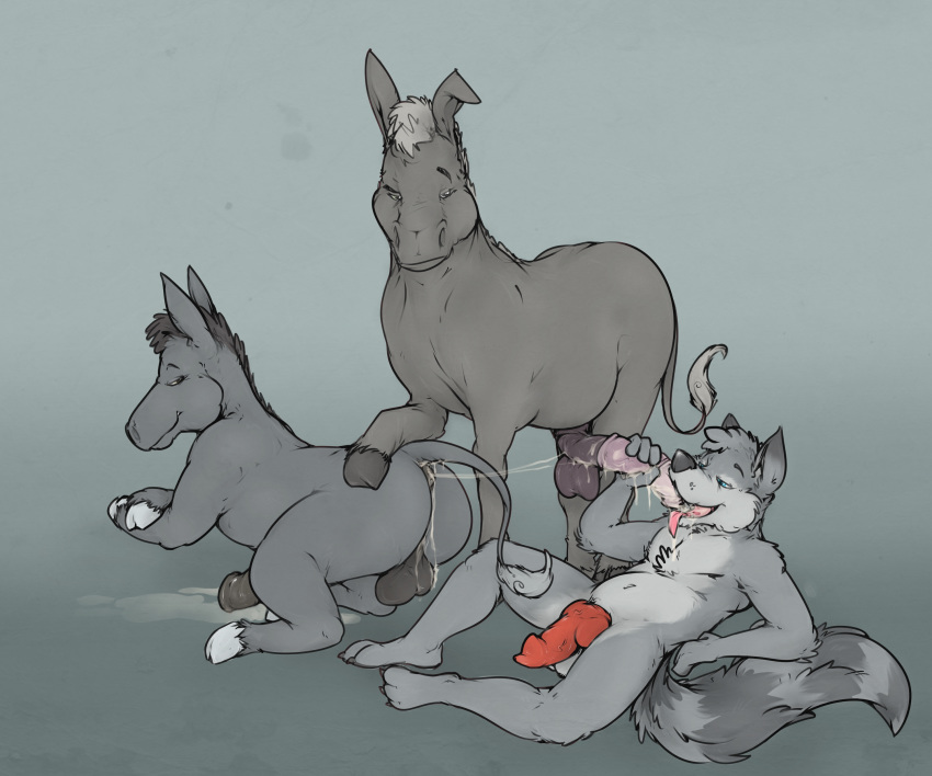 2019 absurd_res anatomically_correct animal_genitalia animal_penis anthro anthro_on_feral anus asinus ass_to_mouth balls bodily_fluids canid canine canine_penis canis coontail cum cum_in_ass cum_in_mouth cum_inside cum_on_tongue donkey drinking drinking_cum equid equine equine_penis erection fellatio feral flared_penis flarethedragon genital_fluids group group_sex hi_res holding_penis horsecock hybrid knot male male/male mammal oral penile penis procyonid raccoon sex threesome tongue wolf zoophilia