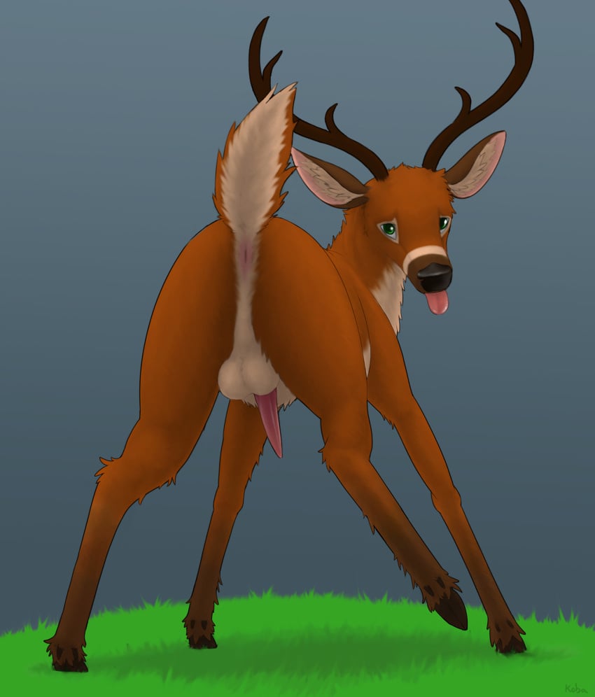 2019 anatomically_correct anatomically_correct_anus anatomically_correct_penis animal_genitalia animal_penis antlers anus ass backsack balls black_nose blep brown_body brown_fur cervid cervine cervine_penis cloven_hooves digital_media_(artwork) erection feral fur grass green_eyes green_pupils hi_res hooves horn inner_ear_fluff koba looking_at_viewer looking_back male male_only mammal neck_tuft orange_body orange_fur penis perineum pink_anus pink_penis presenting presenting_anus presenting_balls presenting_hindquarters raised_leg raised_tail rear_view signature simple_background solo tapering_penis tongue tongue_out tuft underhoof white_body white_fur