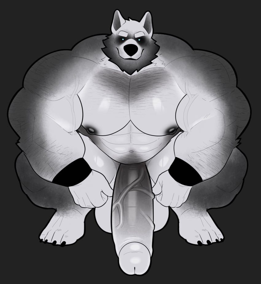 anthro balls bara barazoku big_balls big_pecs big_penis boner canine erection furry ghost_(milkblend) huge_cock looking_at_viewer male male_only milkblend muscles muscular nude pecs penis solo solo_male wolf