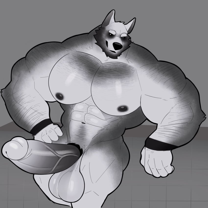 anthro balls bara barazoku big_balls big_pecs big_penis boner canine cock_ring erection furry ghost_(milkblend) male male_only milkblend muscles muscular nude pecs penis solo solo_male wolf