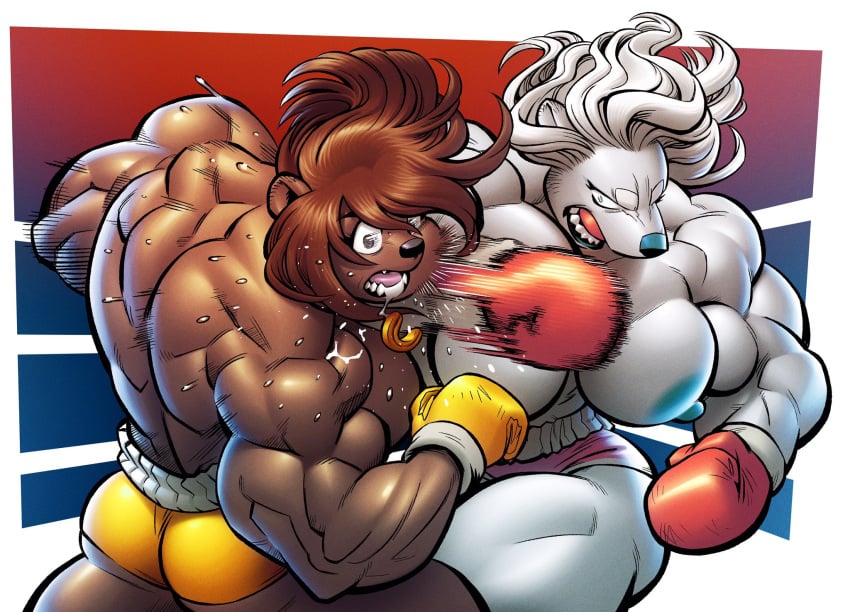 animal_humanoid anthro back_muscles bear blue_nipples boxing_gloves boxing_shorts brown_bear brown_bear_humanoid brown_body brown_fur brown_hair clothed clothing duo female fighting_ring fur hair handwear hi_res humanoid mammal mammal_humanoid masha_(hellbridge) mouthguard muscular muscular_anthro muscular_arms muscular_female muscular_humanoid muscular_thighs nipples polar_bear punching_face tilingart topless topless_anthro topless_female topless_humanoid ursid_humanoid ursine ursine_humanoid white_body white_fur white_hair