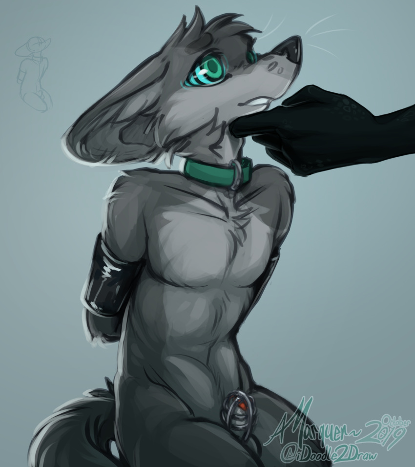 2019 ambiguous_gender animal_genitalia animal_penis anthro arms_tied balls black_body black_nose black_scales bondage bondage bound canid canine canine_penis chastity_cage chastity_device collar countershade_torso countershading disembodied_hand faceless_ambiguous fennec fluffy fox fur gradient_background green_eyes grey_background grey_body grey_countershading grey_fur half-closed_eyes half-length_portrait hand_on_chin hands_behind_back hi_res hypnosis idoodle2draw inner_ear_fluff kneeling light_bondage luku male mammal mind_control nude penis poking_out portrait red_penis scales scalie signature simple_background sketch solo_focus spiral_eyes submissive submissive_male three-quarter_portrait tuft whiskers