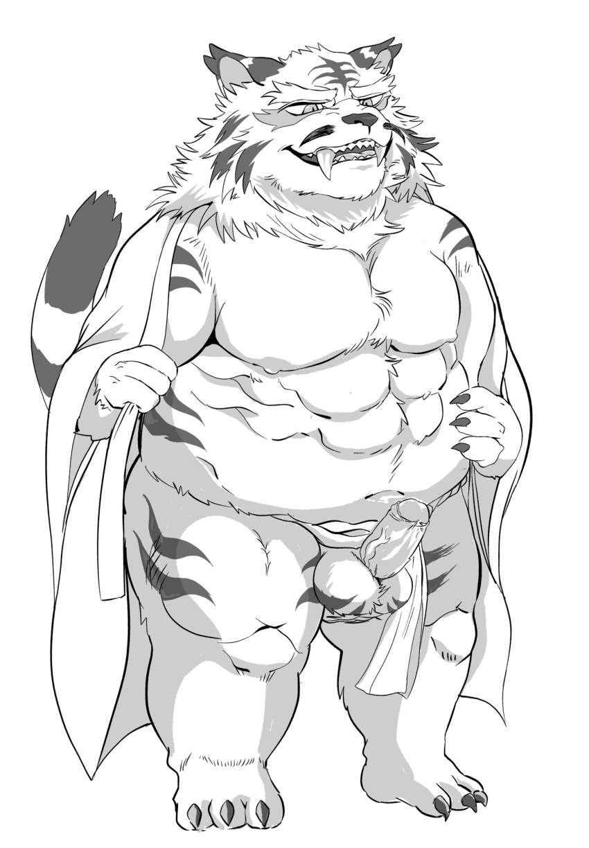 2019 anthro asian_clothing balls belly clothing east_asian_clothing felid feline fundoshi hi_res humanoid_hands humanoid_penis hysk japanese_clothing male male_only mammal moobs navel nipples overweight overweight_male penis robe simple_background solo underwear white_background