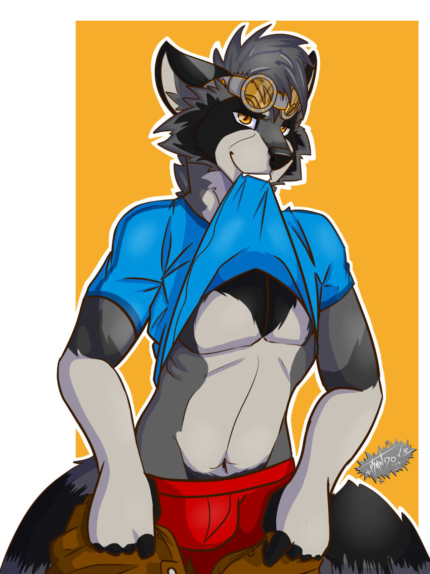 2019 absurd_res anthro blush bulge clothed clothing digital_media_(artwork) eyewear goggles hi_res kandox_tekzer looking_at_viewer male male_only mammal pose procyonid raccoon shanukk smile solo underwear