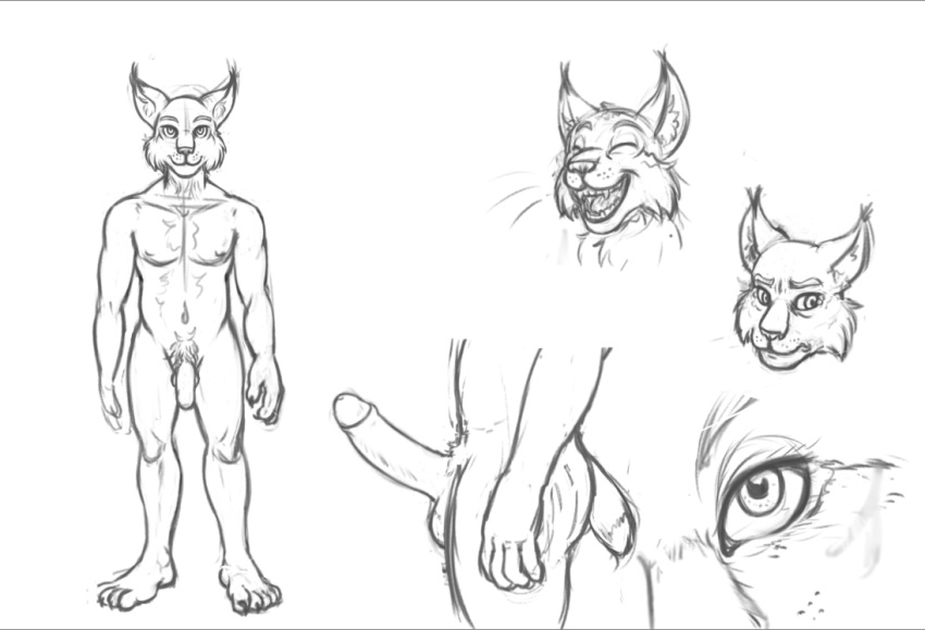 big_penis corin_bailey felid feline humanoid_penis lynx male mammal model_sheet penis sketch