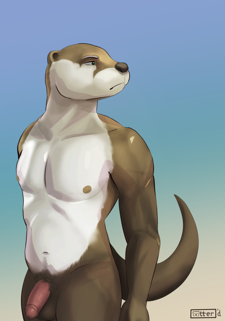 2019 absurd_res anthro athletic balls bottomwear brown_body brown_fur circumcised clothing flaccid fur hi_res humanoid_penis lutrine male male_only mammal muscular muscular_male mustelid otterboxed painting pants penis placid pubes rogue_fang simple_background simple_shading solo underwear white_body white_fur